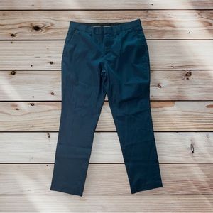 Express slim dress pants